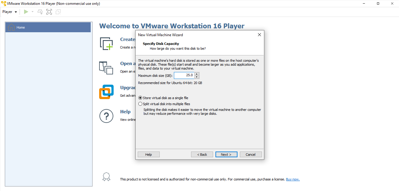 vmware set disk