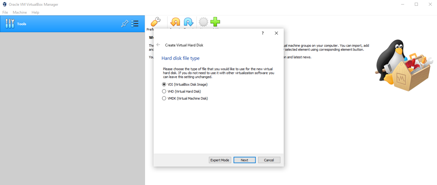 virtualbox select disk type