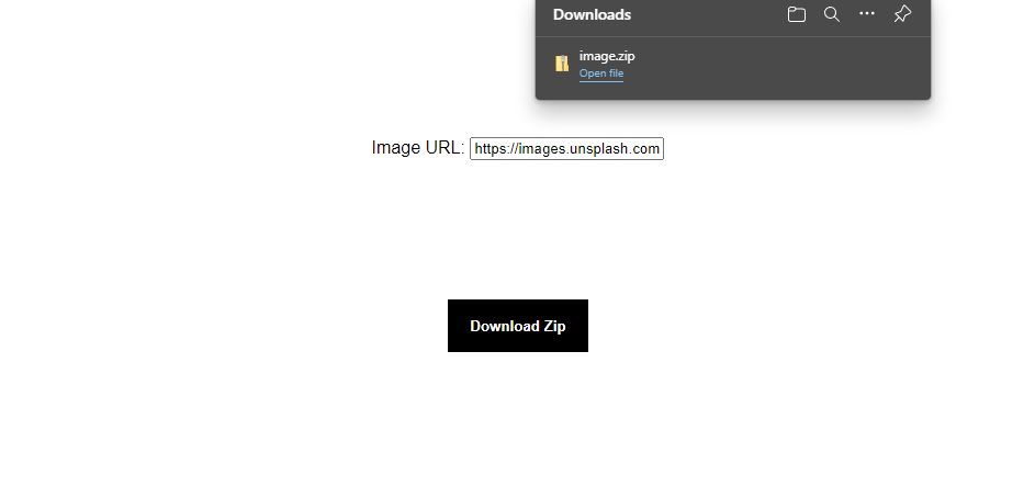 SvelteKit Zip Download: Downloaded Zip